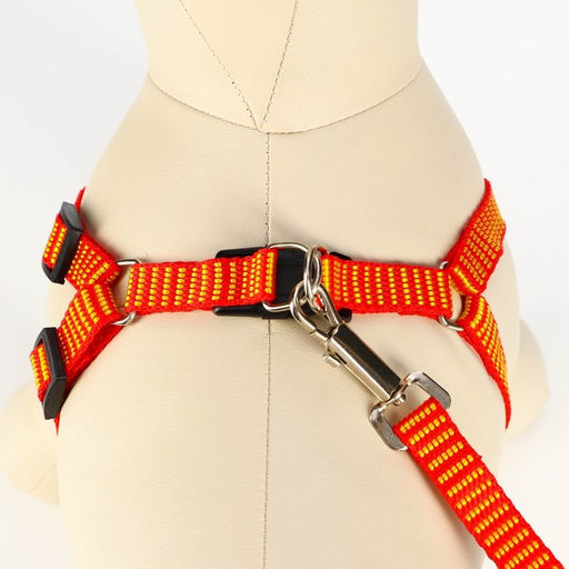 Комплект амуниции рельефный, поводок 120 х 1,5 см, ОГ 36-49 см, красно-жёлтый - Пижон фото 4