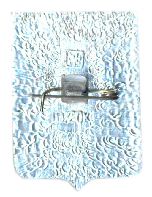 Значок Сердобск