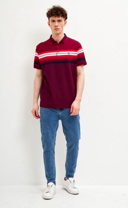 Футболка-поло мужская в полоску F311-07-601 бордовая