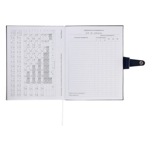 Дневник школьный для 1-11 классов Favorite, мягкая обложка, на кнопке, искусственная кожа, тиснение фольгой, хлястик, ляссе, 48 листов