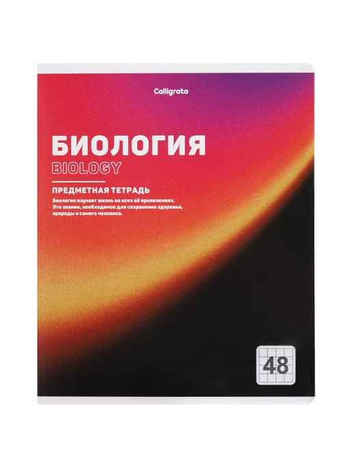 Тетради предметные 12 шт. 48 листов, справочная информация, 60 г