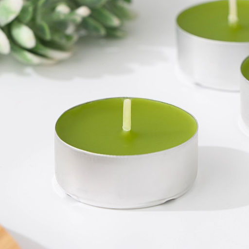 Набор ароматических свечей чайных «Хвоя», 3.8×1.6 см, 3.5 ч, 12 г, 6 шт.