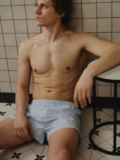 Трусы боксеры из 100% хлопка / Zarina