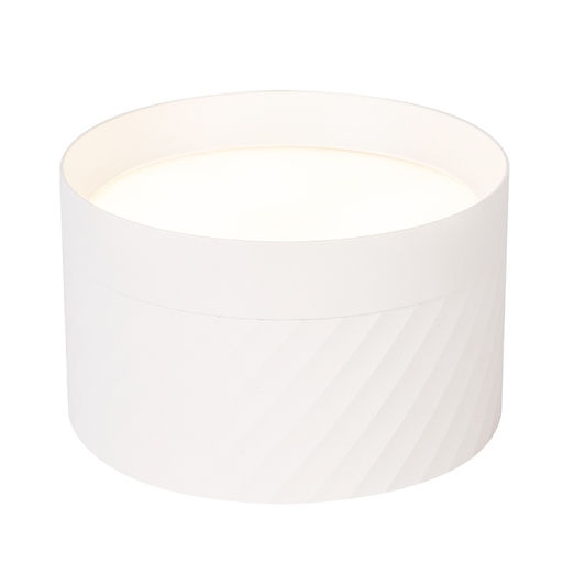 Светильник потолочный 25W, 230V, GX70, белый, HL371