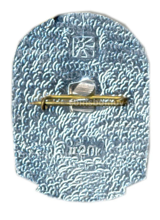 Значок Кишинев