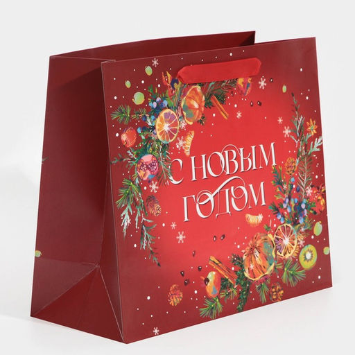 Пакет подарочный новогодний ламинированный «С Новым годом», ML 27×23×11.5 см