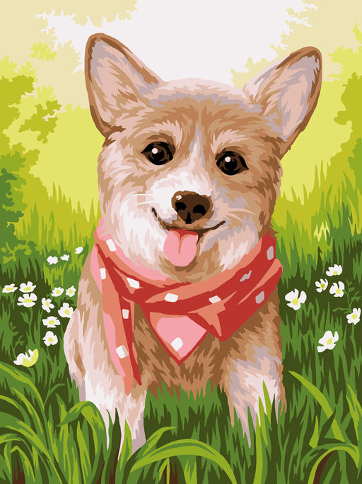 ФРЕЯ PKZ/PM-058 Набор для раскрашивания по номерам (на картоне) 40 х 30 см Корги в бандане