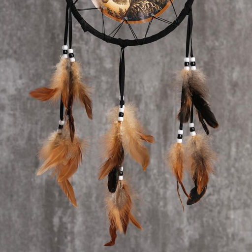 Ловец снов амулет «Орёл», 20×20 см