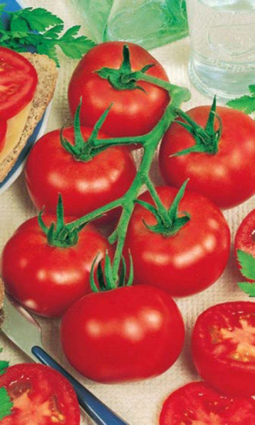 Томат РОК-Н-РОЛЛ F1 Единственный и неповторимый! Стабильно высокий урожай при любой погоде!