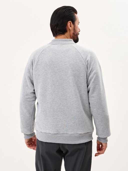 Толстовка мужская 25134-530 футер серый - Avese фото 34