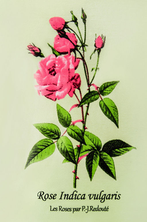 Арт. 3-1145 Футболка женская 42-50 (5 шт) Цвет:фисташковый - Калинка фото 5