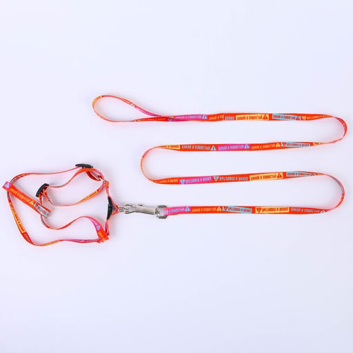 Комплект Дикий и пушистый, шлейка 24-36 см, поводок 120х1 см - Пушистое счастье фото 3