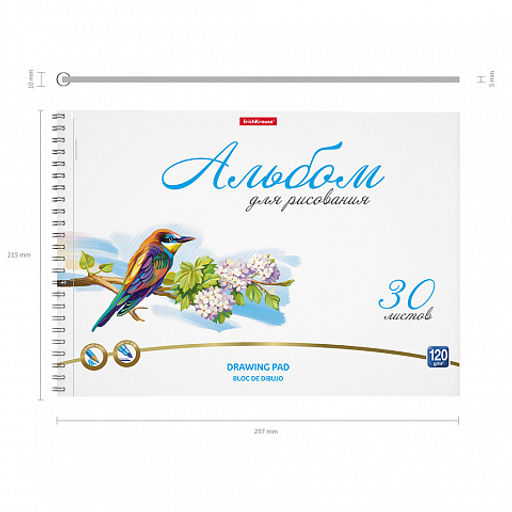Цена за 4 шт. Альбом для рисования на спирали ErichKrause Birds, А4, 30 листов, микроперфорация  фото 3