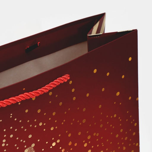 Пакет «Золотая снежинка», 31 х 40 х 11 см