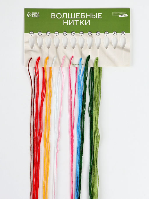 Вышивка гладью на пяльцах Полевые цветы, 20?20 см