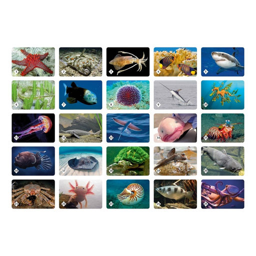 Цена за 2 шт. Настольная игра «Мемо. Подводный мир»