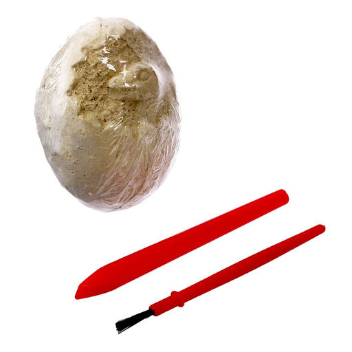 Раскопки «Эра динозавров»