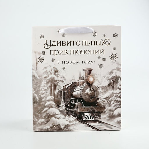 Пакет подарочный новогодний ламинированный «Приключений в новом году», тиснение, ML 23×27×11.5 см