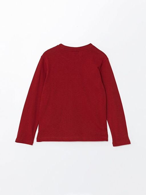 Bisiklet Yaka Erkek ?ocuk Ti??rt - Waikiki фото 3