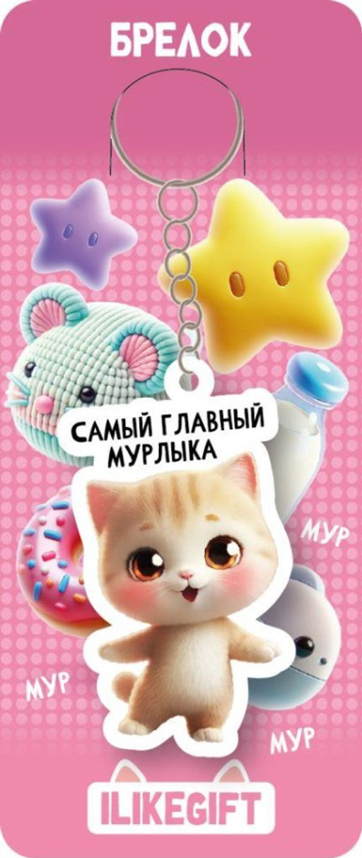 Брелок ECO из дерева iLikeGift "Самый главный мурлыка"