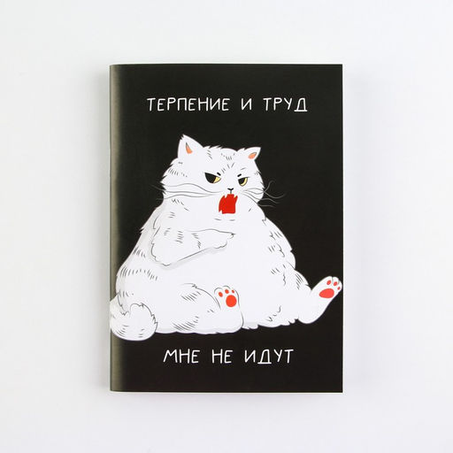 Блокнот А6, 32 л Терпение и труд - Artfox фото 6