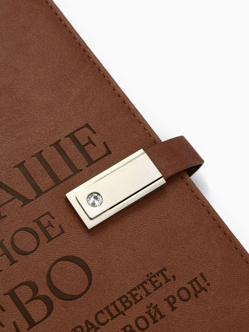 Родословная книга со встроенной флешкой 16 Gb «Наше фамильное дерево», 17.5×23 см