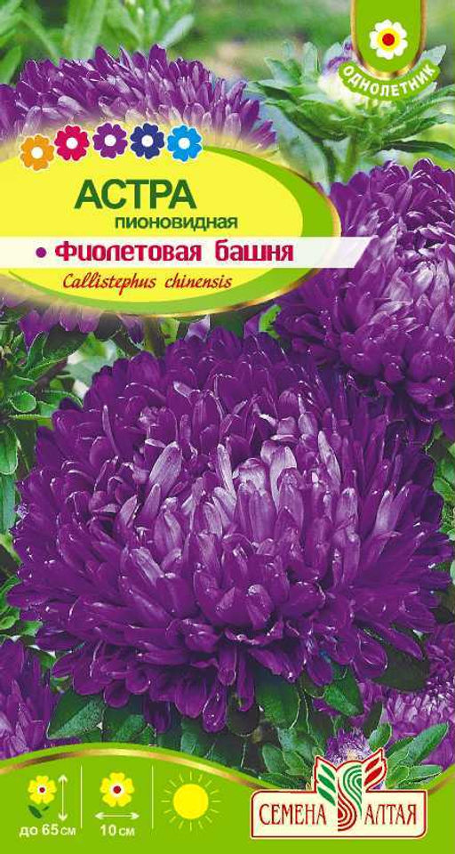 Астра Фиолетовая Башня 0,2г (Семена Алтая)