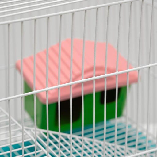 Клетка для грызунов Пижон №3, с 2-я этажами, укомплектованная, 33 х 24 х 28 см, бирюзовая  фото 4