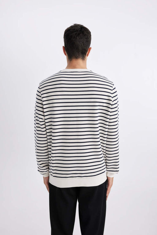 Толстовка в полоску Modern Fit с круглым вырезом - Defacto фото 5