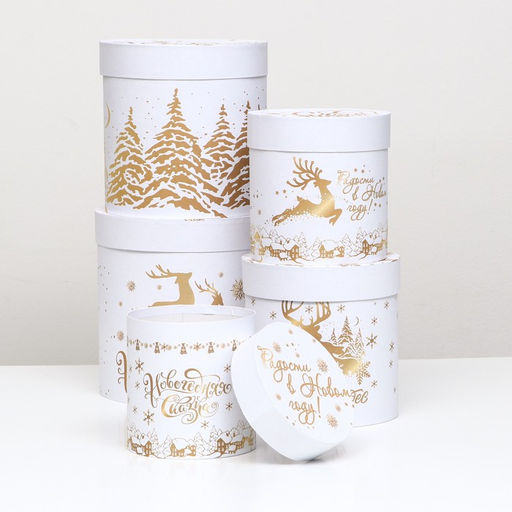 Набор подарочных шляпных коробок 5 в 1 «С Новым годом», 23×23- 15×15 см