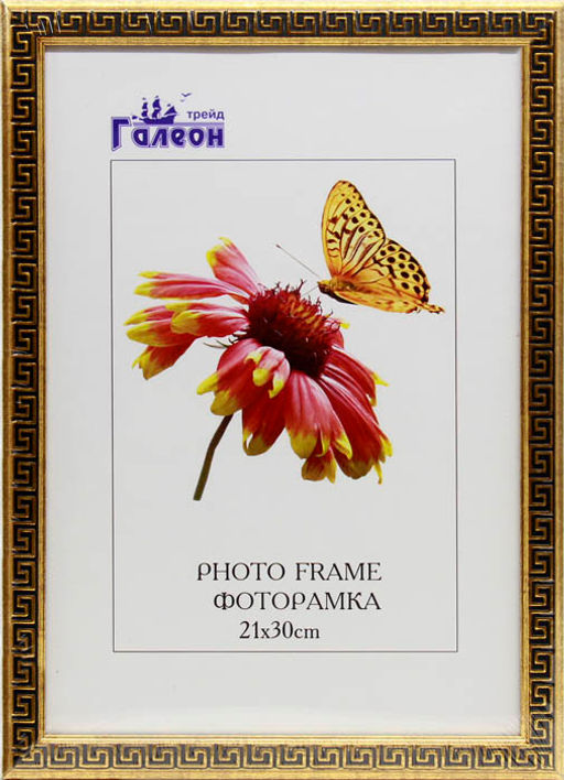 Фоторамка 21х30 / 1904C-011A /уп 10 - ГалеонТрейд фото 2