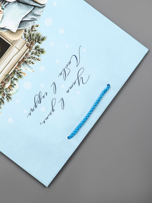 Цена за 2 шт. Пакет подарочный новогодний ламинированный, «Уюта в доме», 26×12×32 см