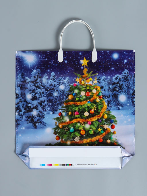 Цена за 10 шт. Пакет подарочный новогодний «Новогодняя красавица», полиэтиленовый с пластиковой ручкой, 36×37 см