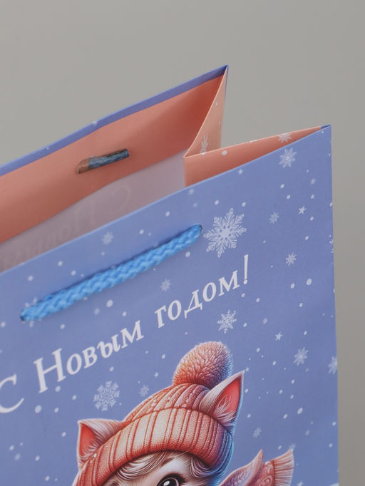 Цена за 2 шт. Пакет подарочный «С Новым годом! Котик на санках» 18×10×22.3 см