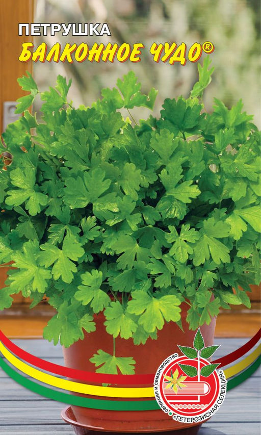 Петрушка листовая БАЛКОННОЕ ЧУДО Зелень не боится тепловой обработки и придает особый аромат, улучшает вкусовые качества и цвет блюд!
