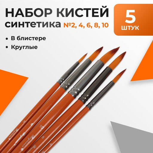Набор кистей для рисования, синтетика, 5 штук: № 2, 4, 6, 8, 10, круглые, деревянная ручка, международный размер