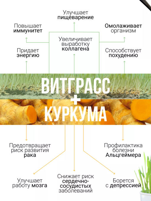Витграсс + Куркума 150г (состав: порошок из молодых зеленых ростков пшеницы (Wheat grass), куркума м - Sneko Gold фото 4