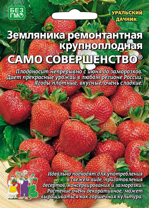 Земляника САМО СОВЕРШЕНСТВО® ягоды сладкие без кислинки, сочные, нежные, крайне ароматные!