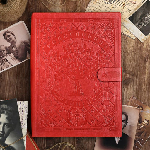 Родословная книга «Книга нашей семьи», 65 листов, 32×23 см.