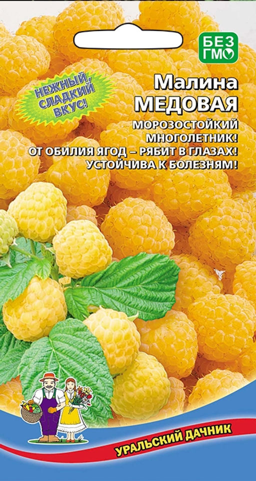 Малина МЕДОВАЯ Нежный, сладкий вкус! Морозостойкий многолетник! От обилия ягод рябит в глазах! Устойчива к болезням!