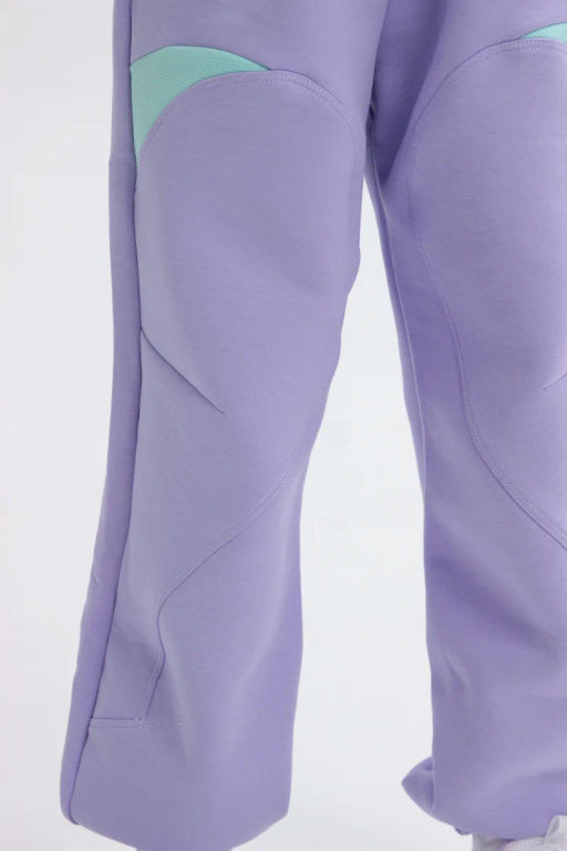 Брюки трикотажные Сиреневый - Anta sport фото 5