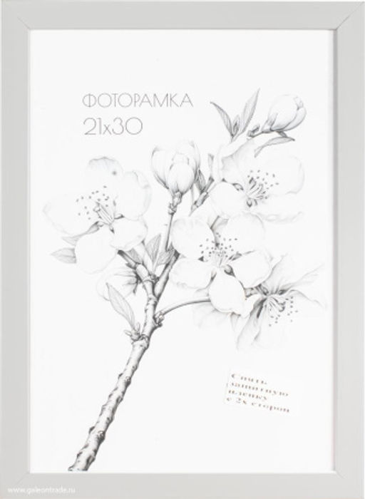 Фоторамка 21х30 с акриловым стеклом / 2004A-012AL /уп10