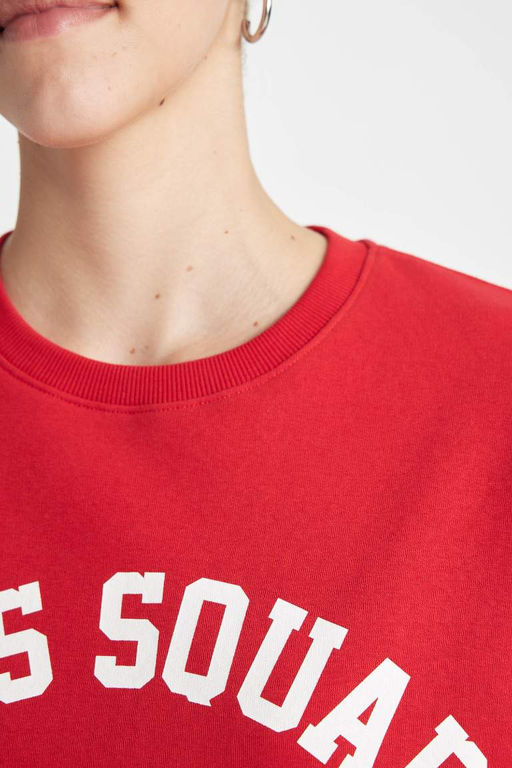 Толстовка из плотной ткани свободного кроя с круглым вырезом и принтом - Defacto фото 4