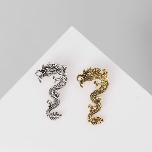 Цена за 12 шт. Брошь Дракон извилистый (неделимая фасовка 12 шт., цена за шт.), цвет МИКС - Queen fair фото 2