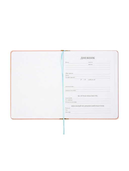 Дневник школьный 1-11 класс, лассе, обложка искуственная кожа бежевая, резинка для ручки