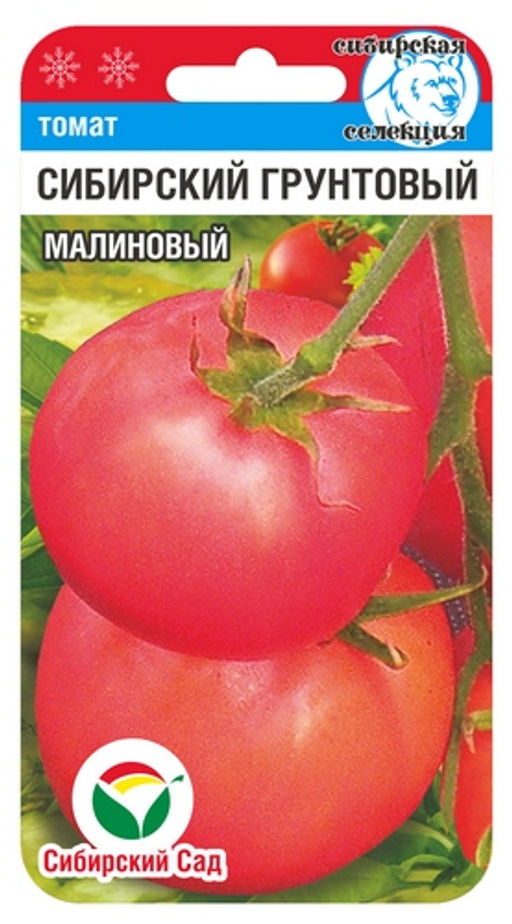 Сибирский Грунтовый Малиновый томат 20шт (сс)