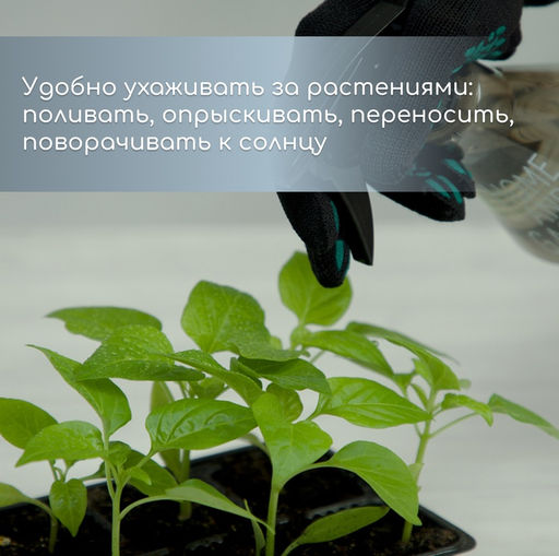 Цена за 4 шт. Кассета для рассады, 6 ячеек по 120 мл, пластик, чёрная, набор 5 шт. - Simaland фото 5