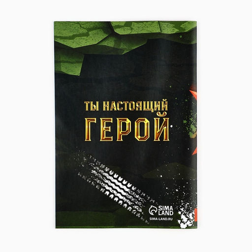 Подарочный набор, анкета для мальчиков и ручка «23 февраля»