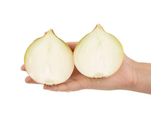 Лук репчатый Универсо - Партнер фото 5