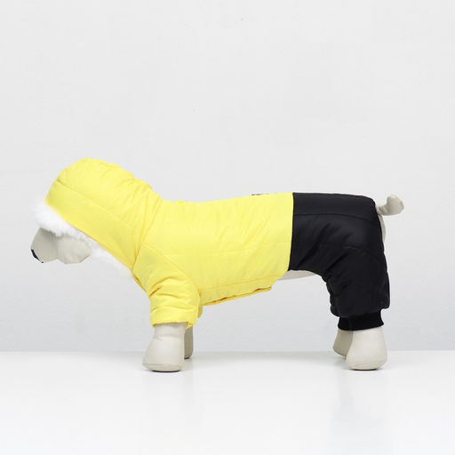 Комбинезон Пушок, размер S (ДС 25 см, ОГ 37, ОШ 28 см), жёлтый - Simaland фото 4